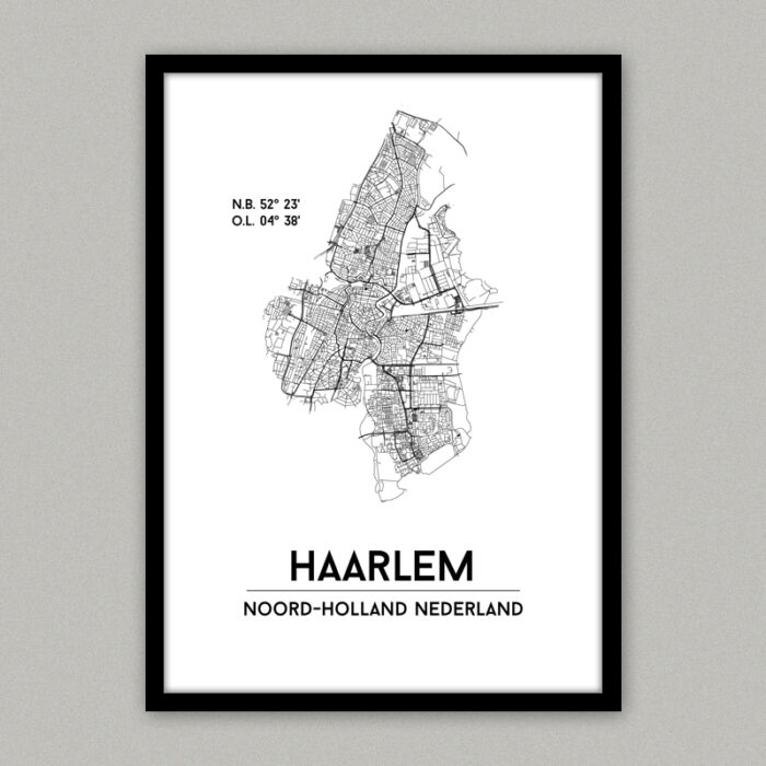 Haarlem plattegrond poster