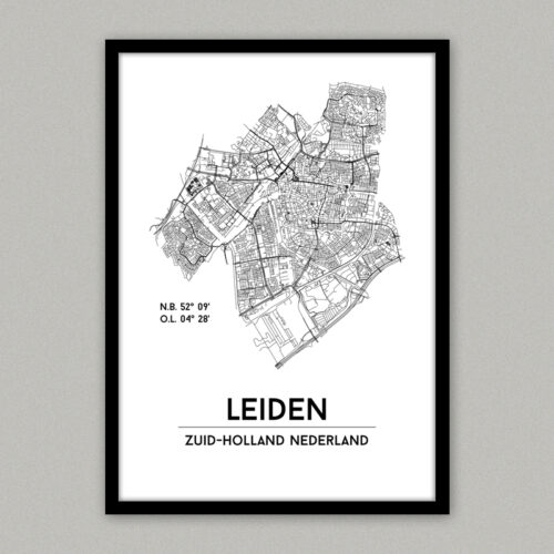 leiden plattegrond poster