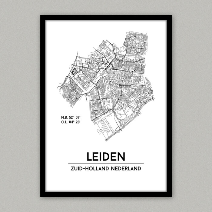 leiden plattegrond poster